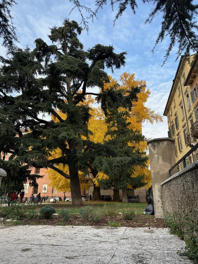 Domus Largo Pescheria Верона Екстериор снимка